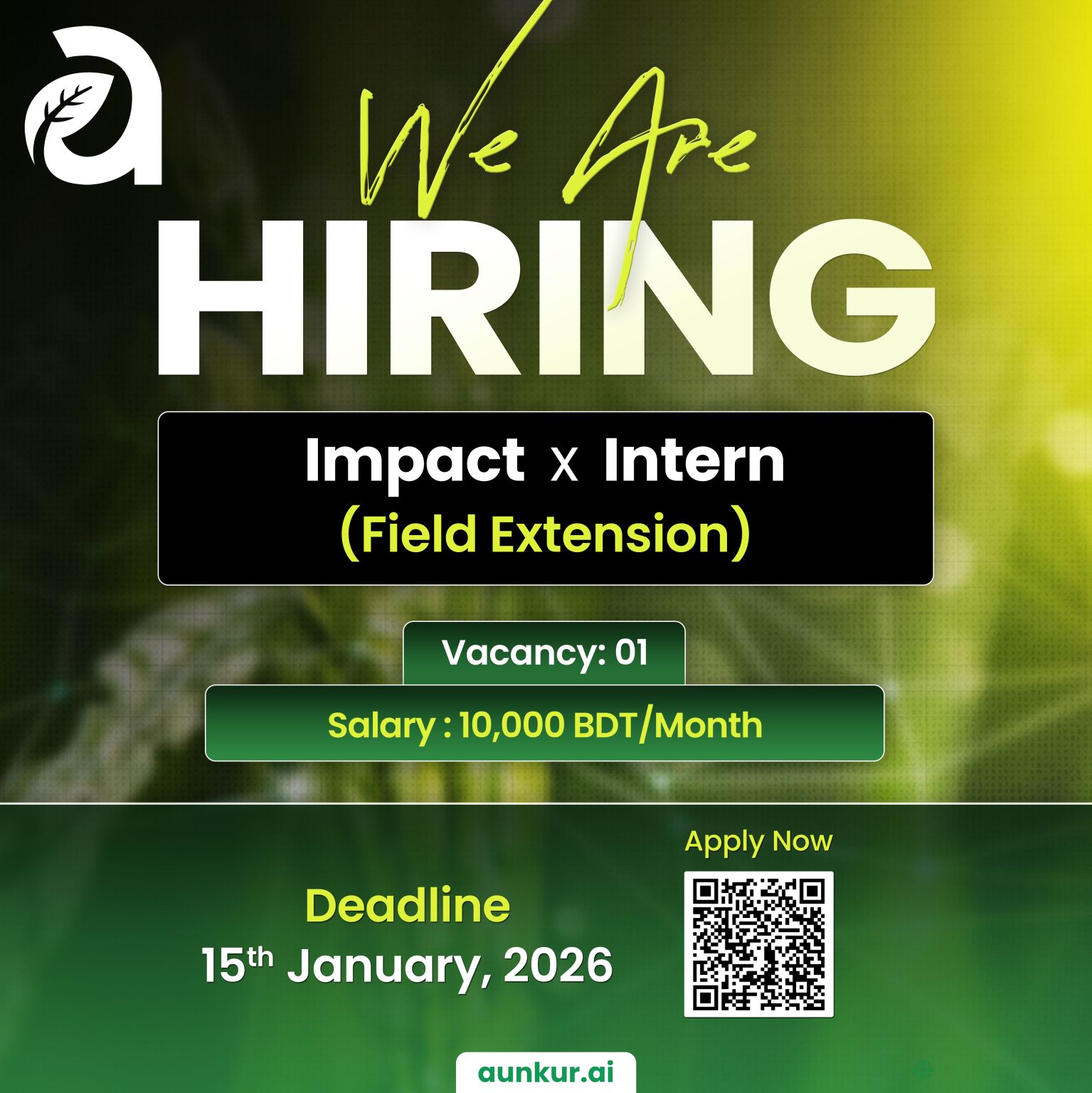 𝗜𝗺𝗽𝗮𝗰𝘁 𝗫 𝗜𝗻𝘁𝗲𝗿𝗻𝘀𝗵𝗶𝗽 𝗣𝗿𝗼𝗴𝗿𝗮𝗺 (Field Extension) - Aunkur