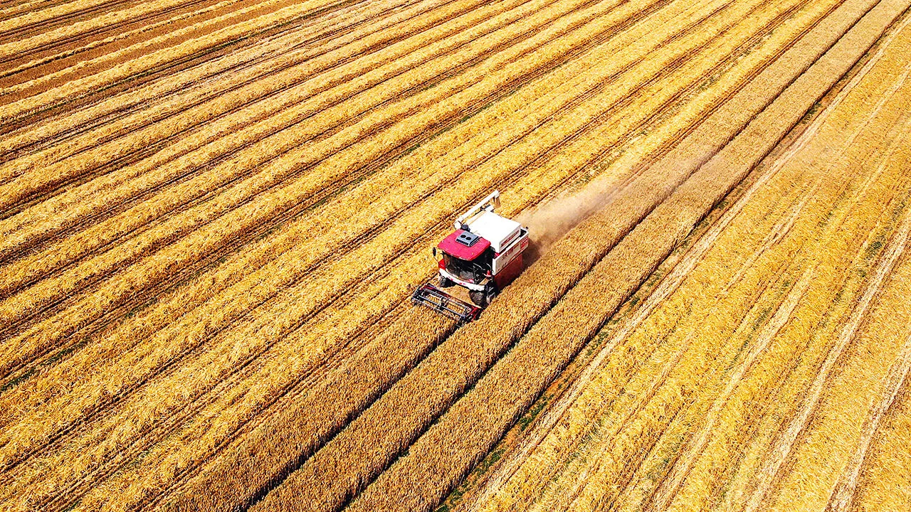 IAAS Bagladesh RU gallery image